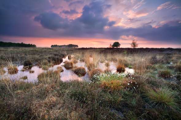 Beeld bij Het Fochteloërveen