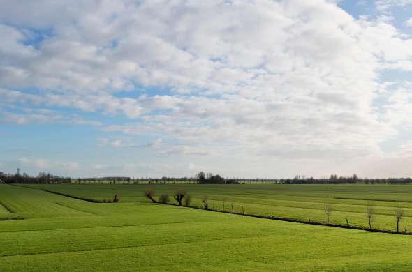 Beeld bij Eiland van Schalkwijk