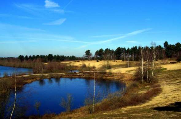 Beeld bij Paraboolduinen langs de Maas