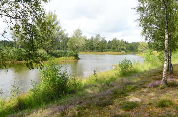 Beeld bij De Veluwerandmeren