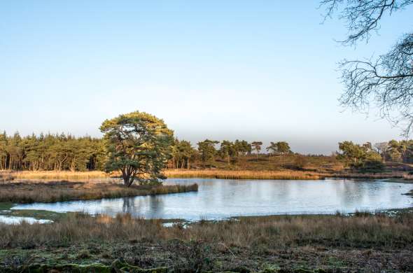 Beeld bij De Asseltse Plassen