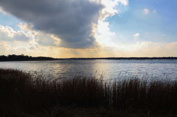 Beeld bij De Haarrijnseplas