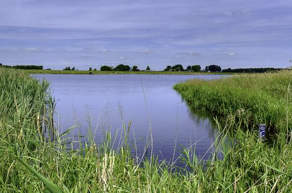 Beeld bij De Oude Veenkoloniën