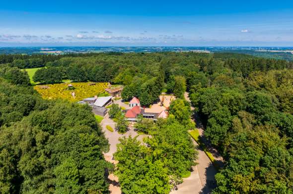 Beeld bij De Vaalserberg