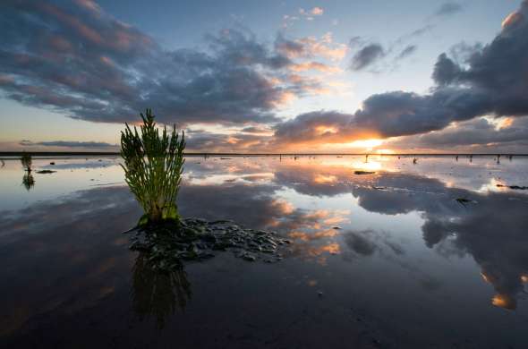 Beeld bij Waddenzeekustroute