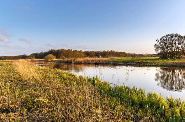 Beeld bij Natuur langs de Overijsselse Vecht