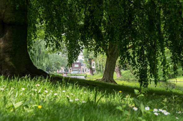 Beeld bij Het gras van het Noorderplantsoen