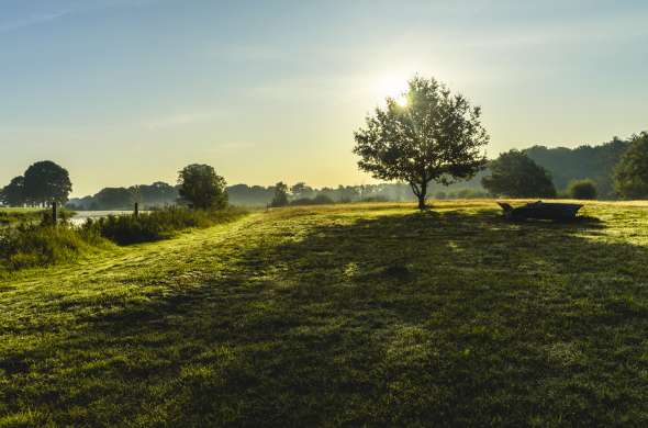 Beeld bij De Vecht en de Regge