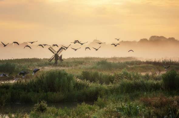 Beeld bij De polder van Purmerend