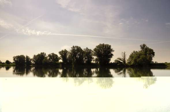 Beeld bij Het eiland van Maurik