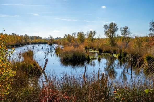 Beeld bij Coevorden en het Bargerveen