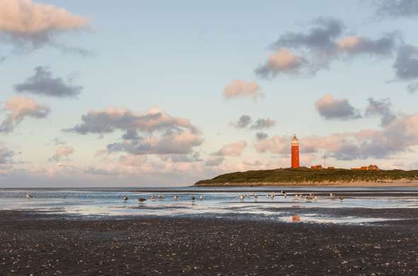 Beeld bij Het mooiste van Texel