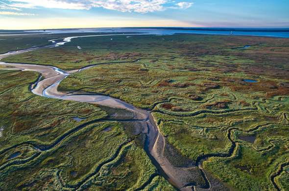 Beeld bij Het Verdronken Land van Saeftinghe