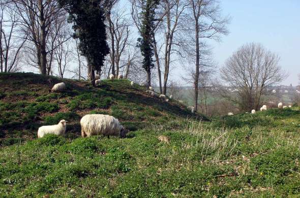 Beeld bij Schaapskooi Mergelland