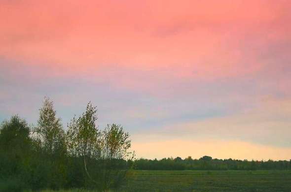 Beeld bij Op de grens van Drenthe en Overijssel