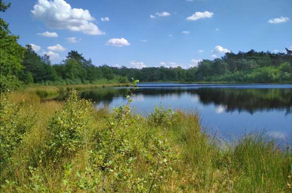Beeld bij Holtingerveld
