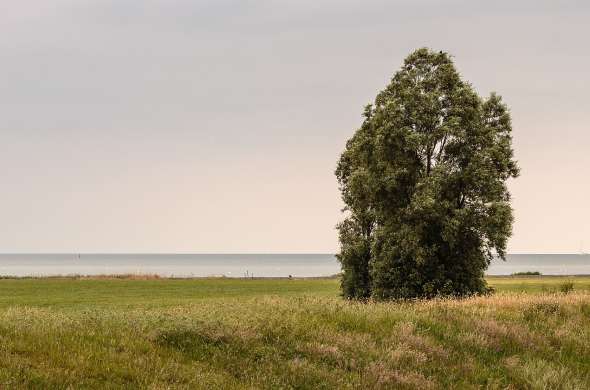 Beeld bij Rond de Zuiderzee