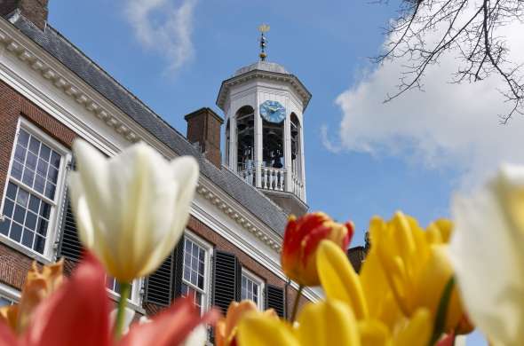 Beeld bij Dokkum Tulpenstad
