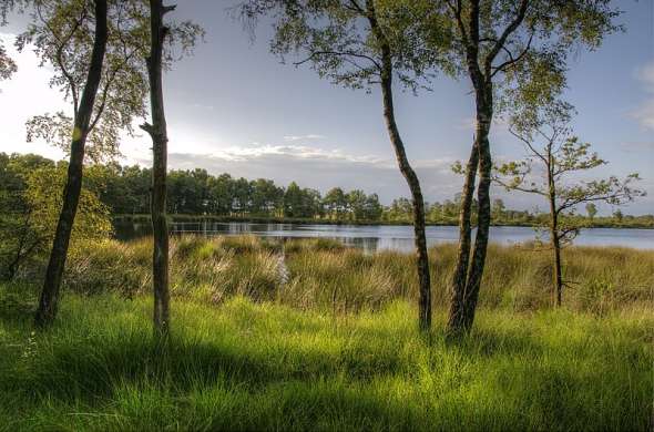 Beeld bij Veelzijdige wandelgebieden