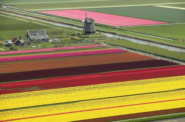 Beeld bij Bloemendagen in Anna Paulowna