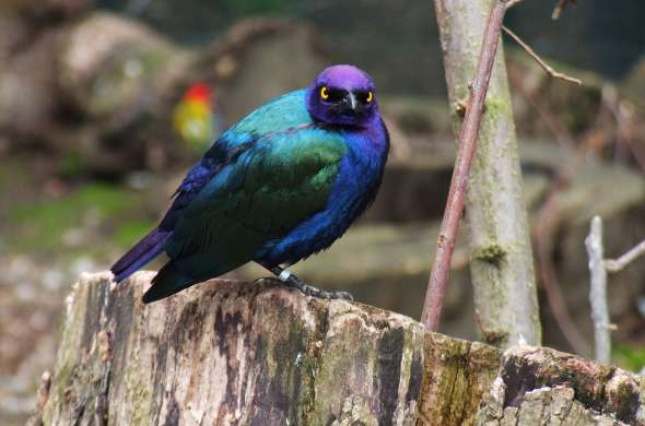 Beeld bij Kasteelpark Born