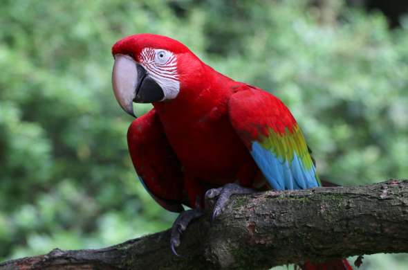 Beeld bij Zoo Veldhoven
