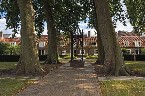 Beeld bij Een machtige kroon van platanen