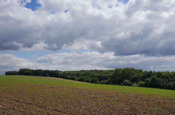 Beeld bij Het Plateau van Bocholtz