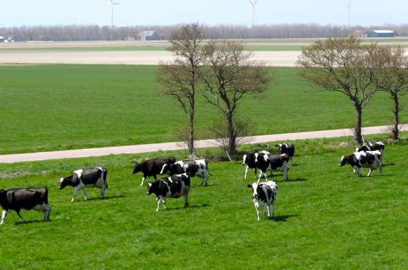Beeld bij Door de Wieringermeer