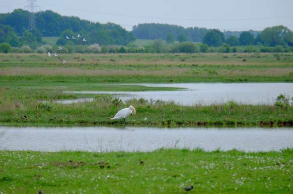 Beeld bij Een Deltadam in Noord-Brabant